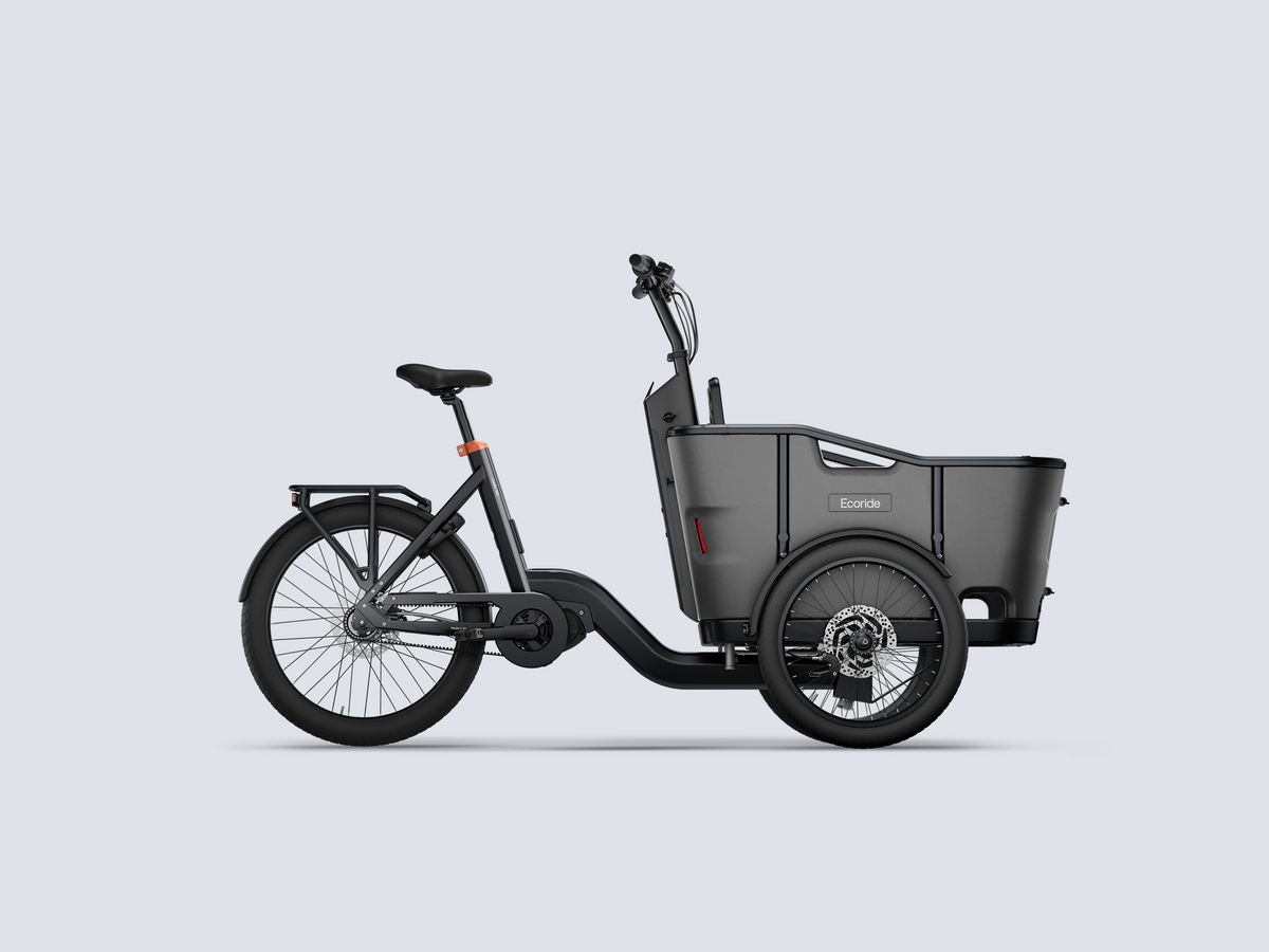 Ecoride Loader 806