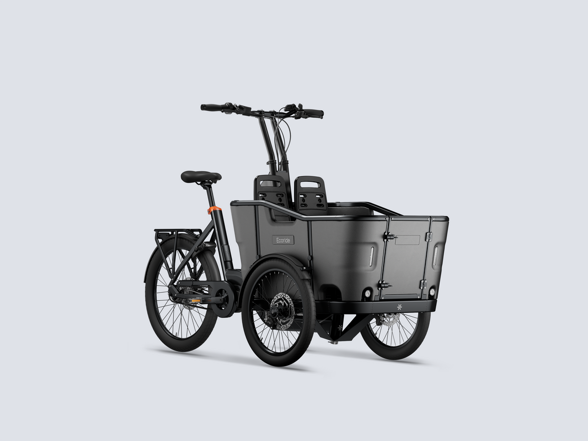 Ecoride Loader 806