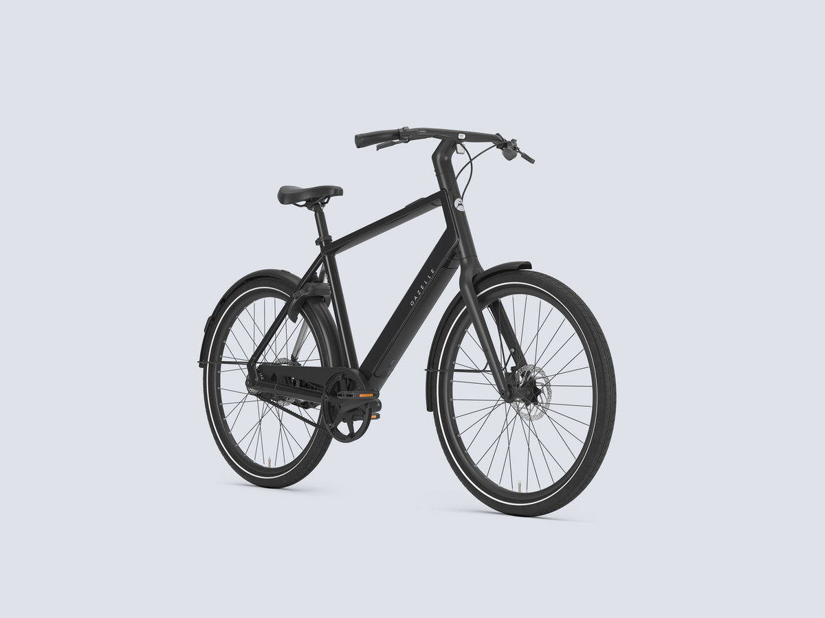 Gazelle Curb C1 H - 2027