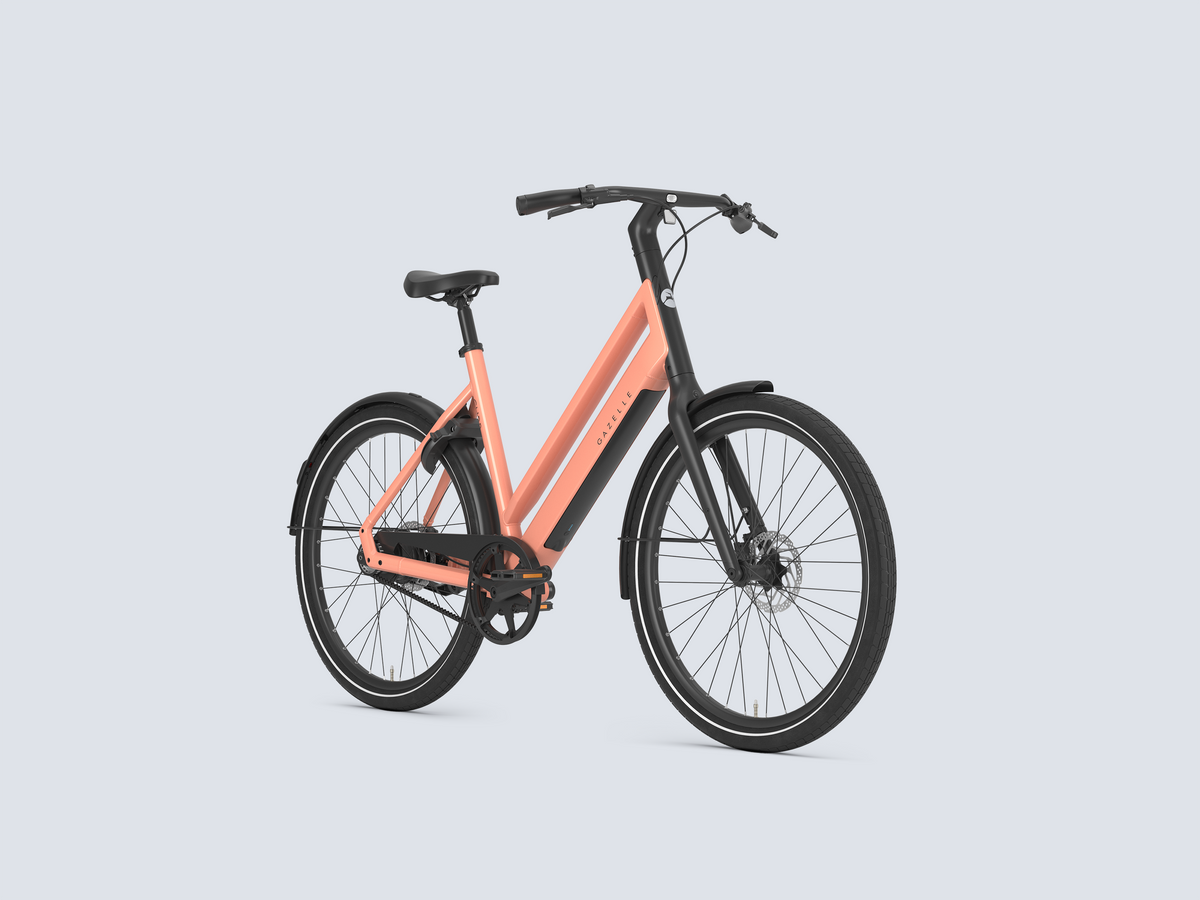 Gazelle Curb C1 L - 2027