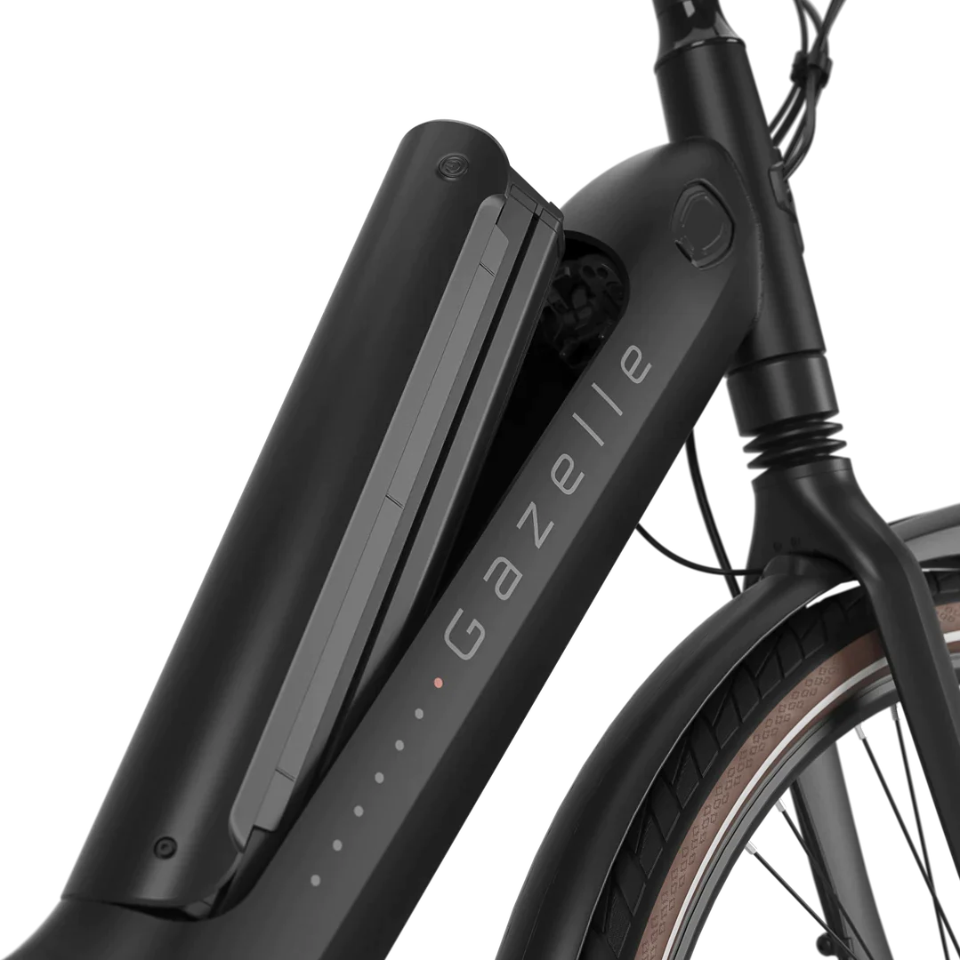 Gazelle Arroyo C8 HMB Elite Herre 2024