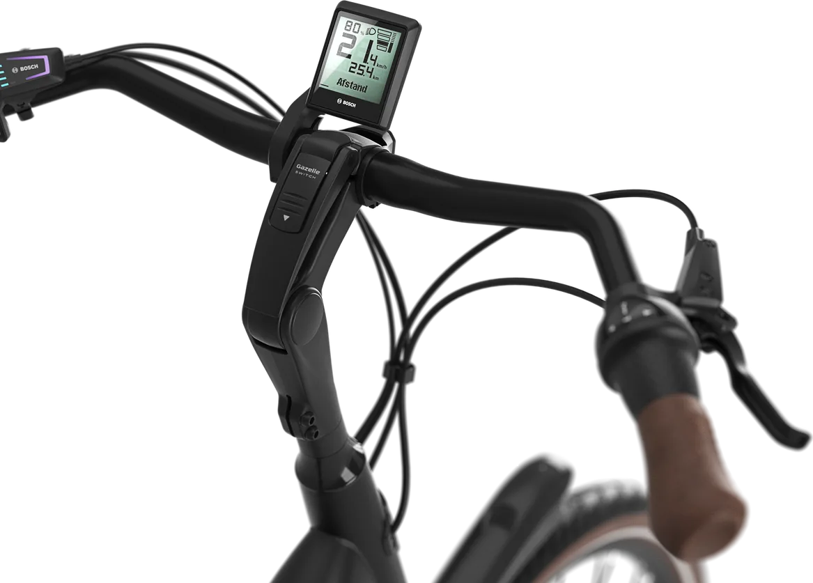 Gazelle Arroyo C8 HMB Elite Herre 2024