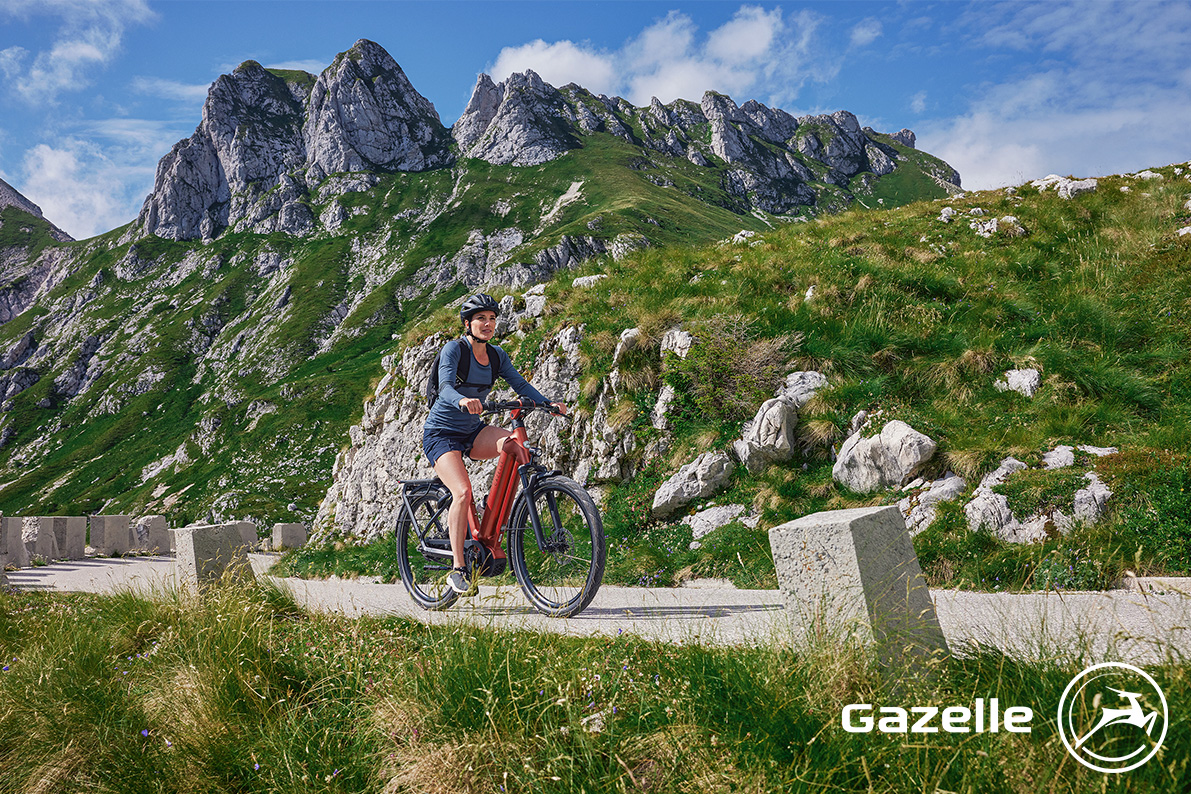 Gazelle Eclipse T11 HMB L