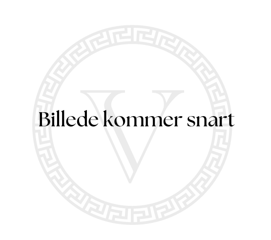 Fladt front carrier tillæg til VUF el ladcykel