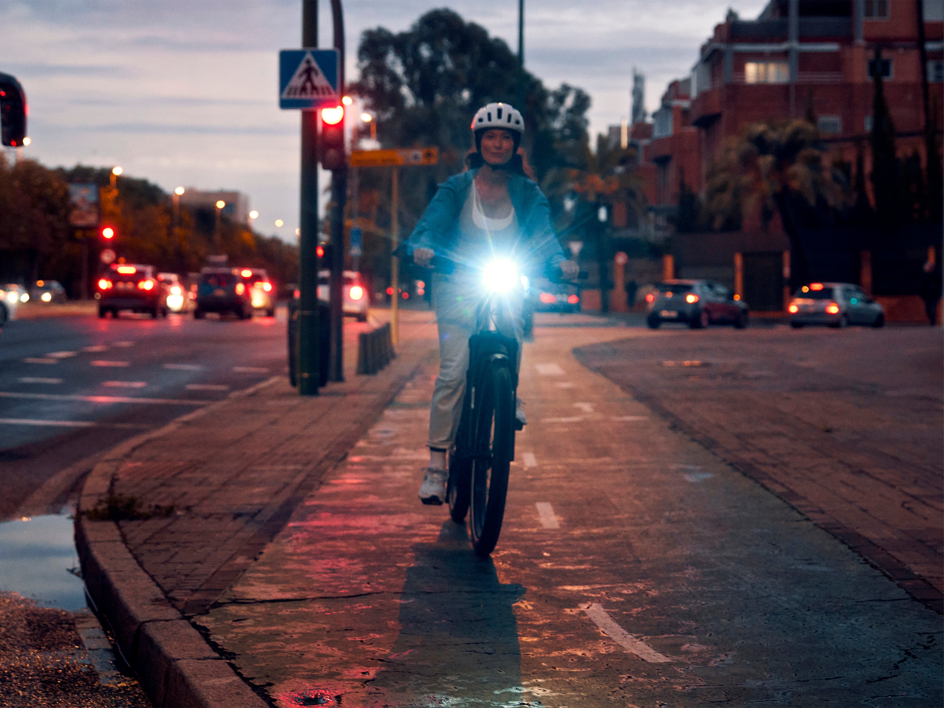 Riese & Müller Charger5 Mixte Automatic