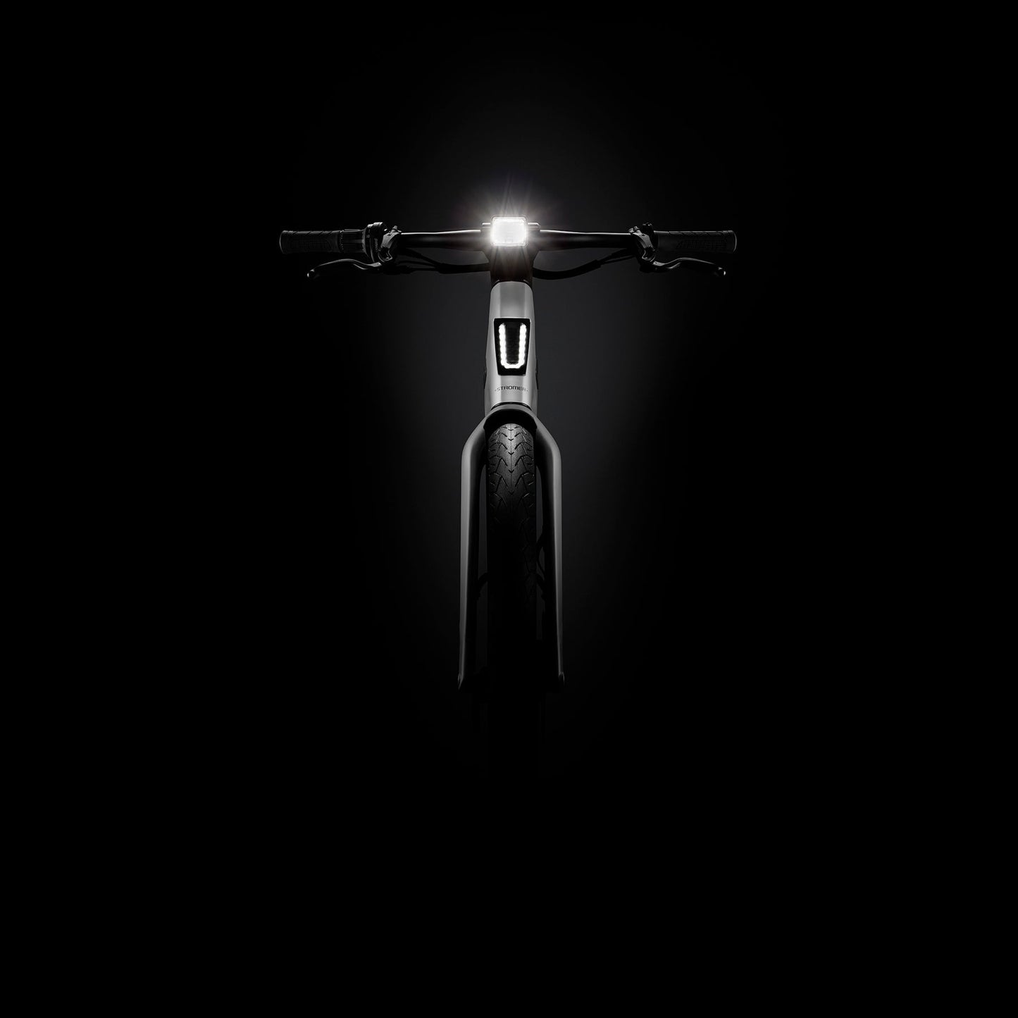 Stromer ST3 Pinion Alinghi Red Bull Racing Edition 983 Wh