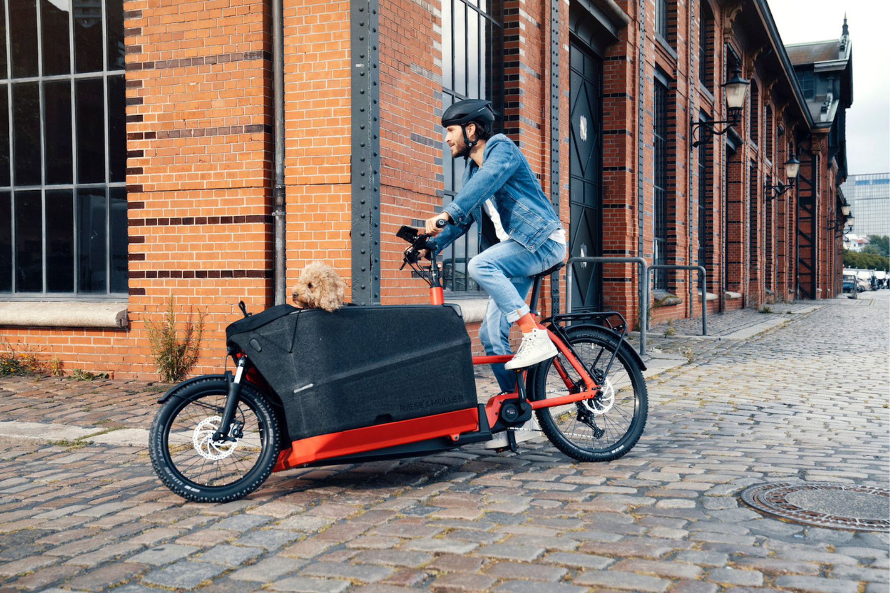 Hvilken el ladcykel skal jeg vælge