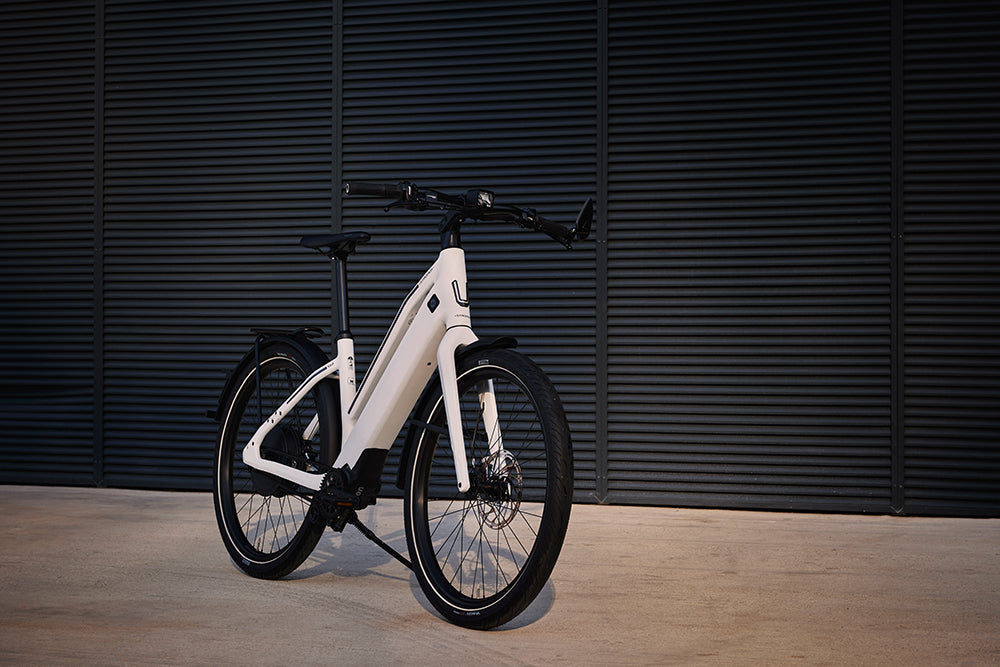 Ansvarsforsikring Speed Pedelec