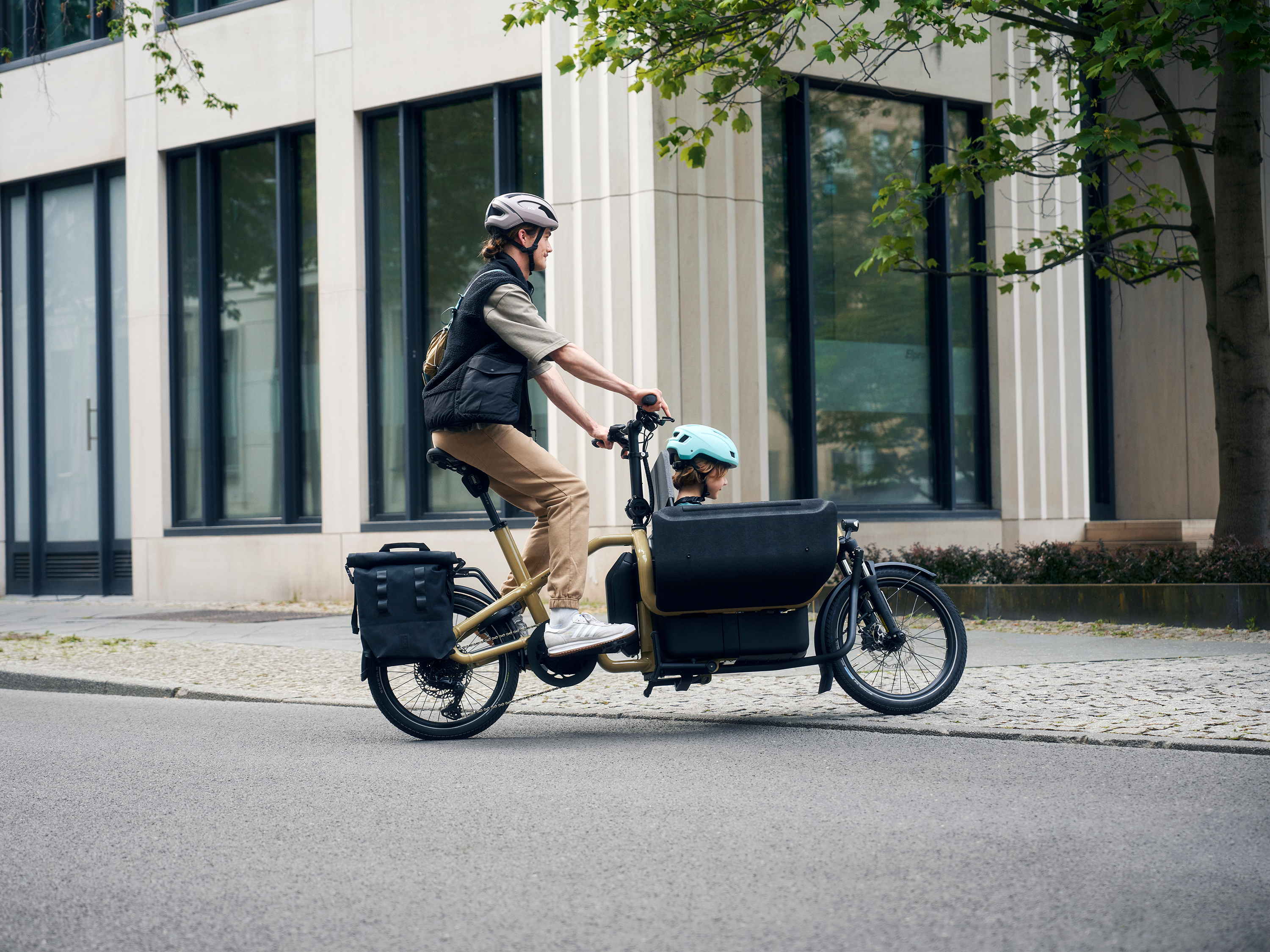 Riese & Müller Carrie2 Vario