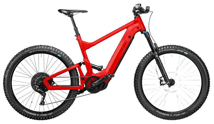 Riese & Müller Delite Mountain Touring