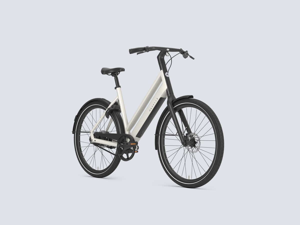 Gazelle Curb C1 L - 2027