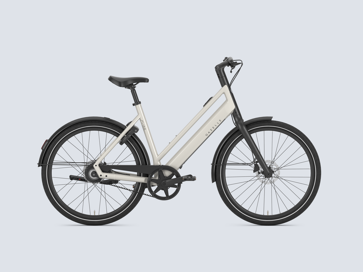 Gazelle Curb C1 L - 2027