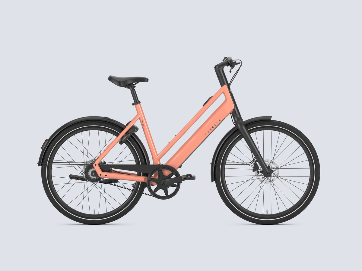 Gazelle Curb C1 L - 2027