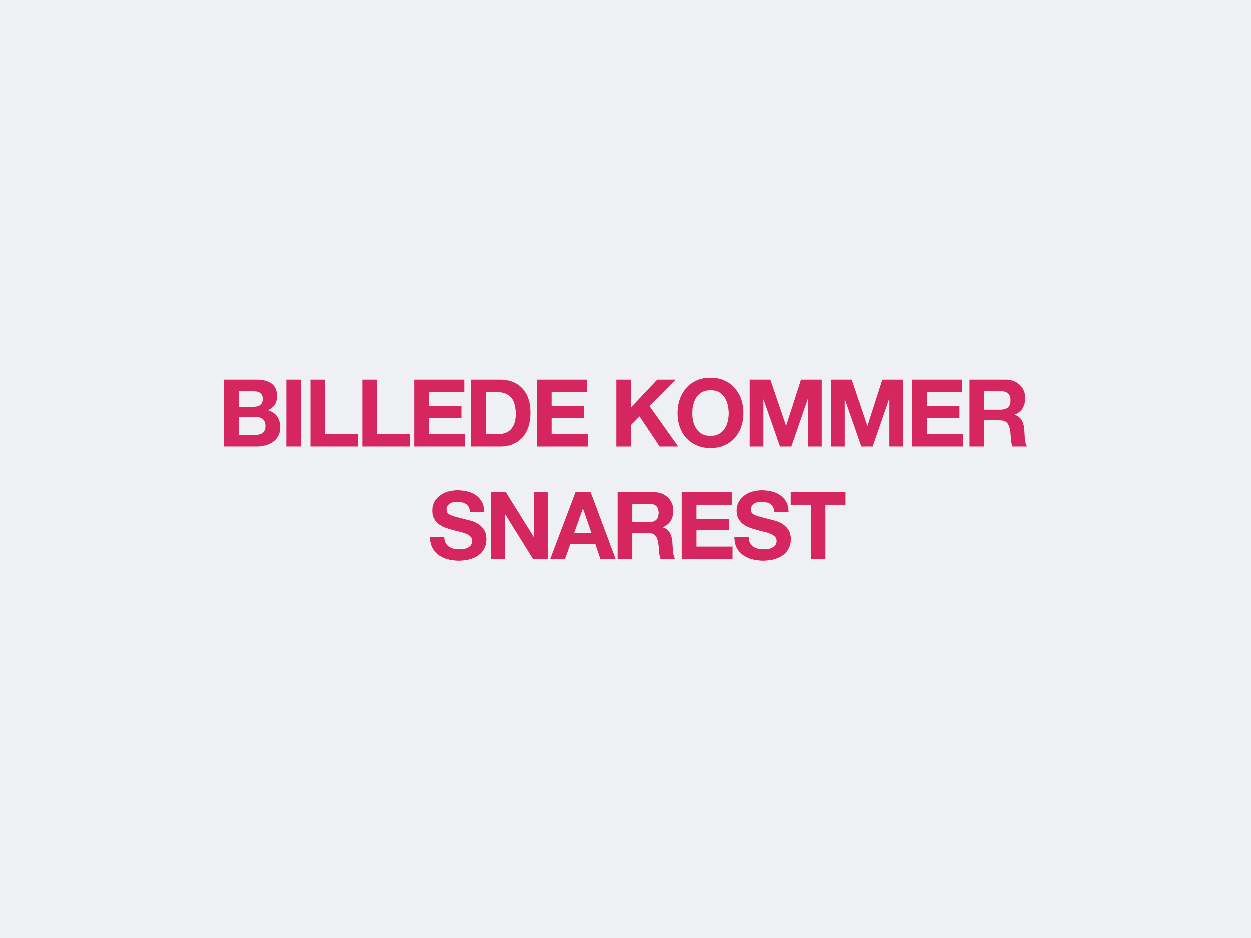 Riese & Müller Charger5 Silent Core