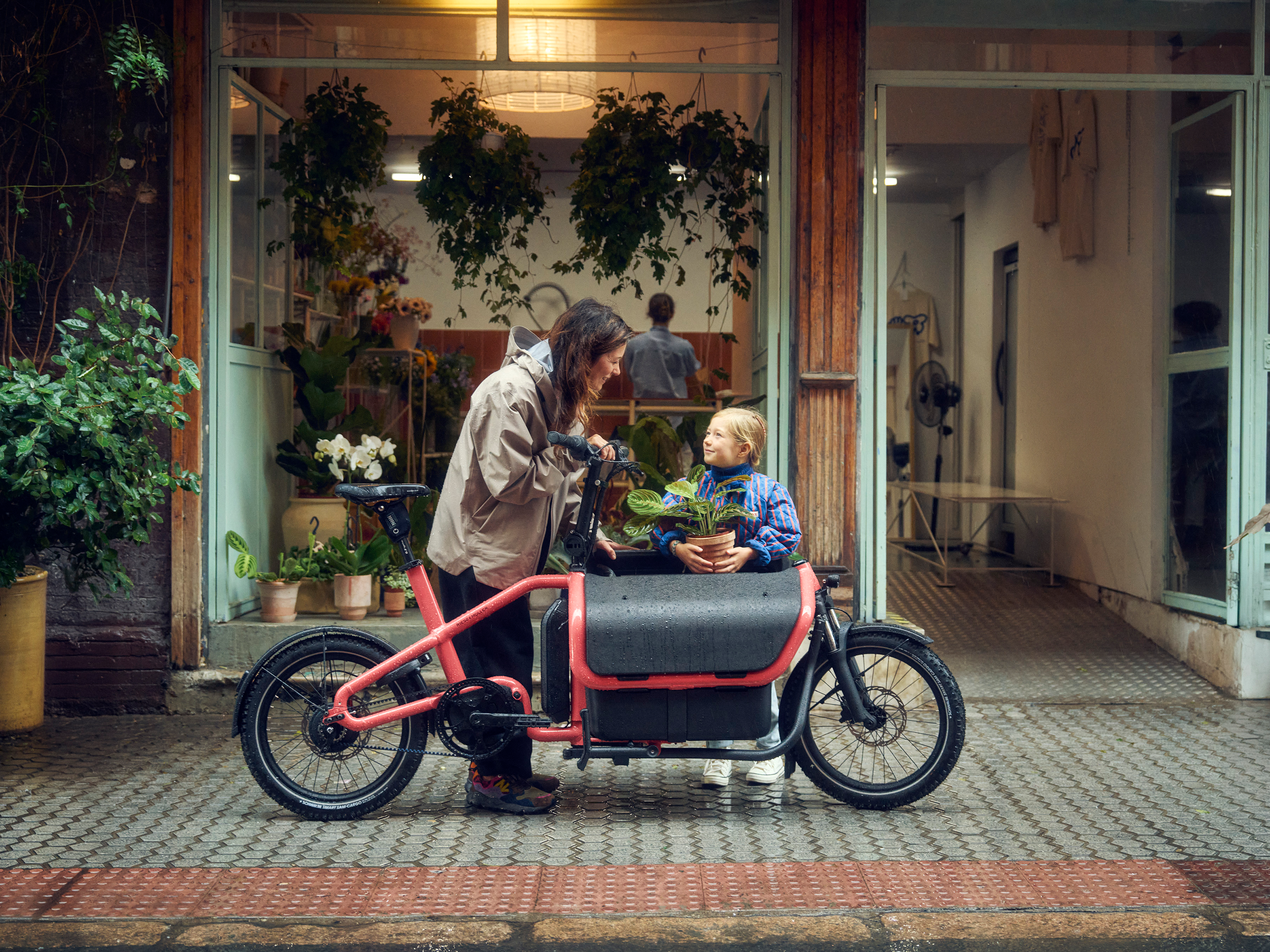 Riese & Müller Carrie2 Vario