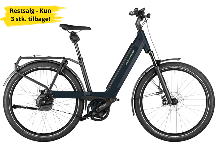 Riese & Müller Nevo4 Vario (grey matt)