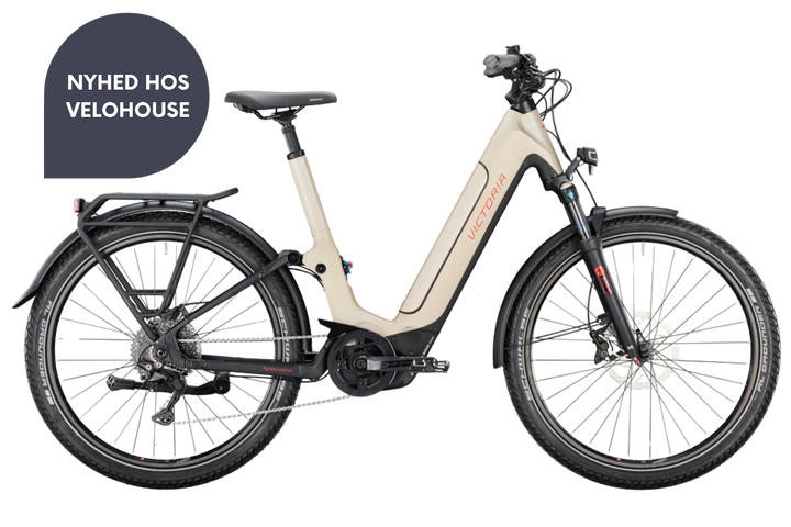 Victoria eParcours 12.8 Mod. 22 (Good Grey Matt)