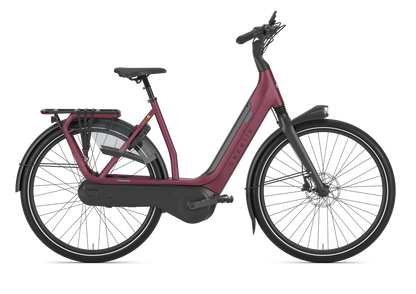 Gazelle Avignon C8 HMB L 28" S8 2024