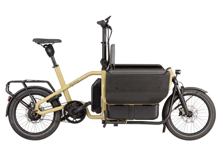 Riese & Müller Carrie Vario Anise