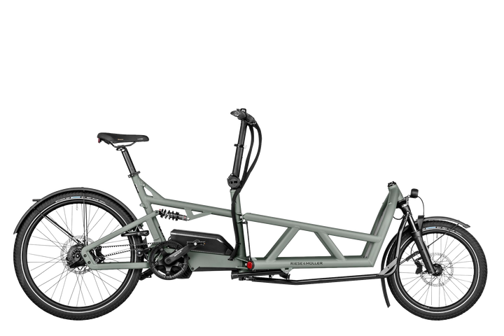 Riese & Müller Load4 60 Rohloff tundra grey