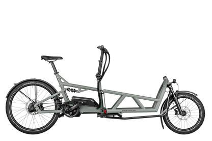 Riese & Müller Load 60 Rohloff tundra grey