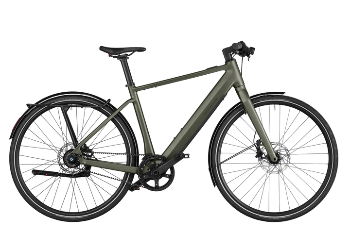 Riese & Müller UBN Five vario selva