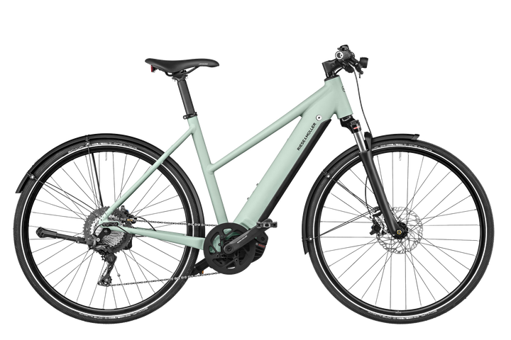 Riese & Müller Roadster Mixte vario HS salvia matt
