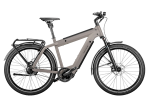 Riese & Müller Supercharger GT rohloff silver matt